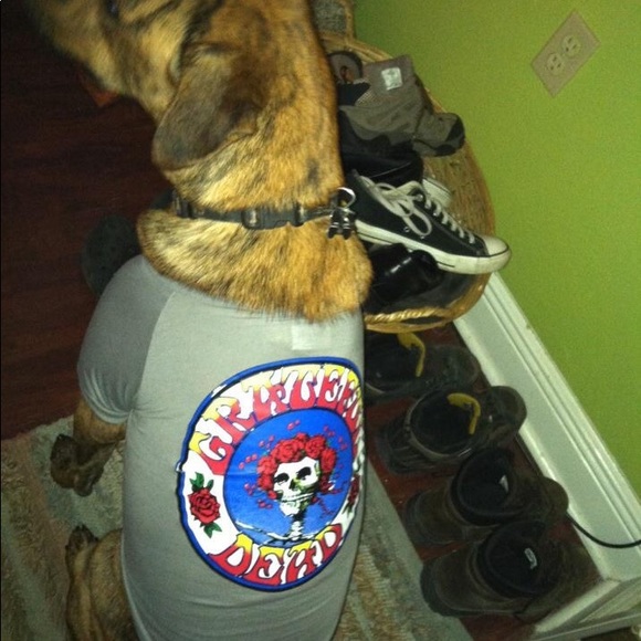 grateful dead dog clothes